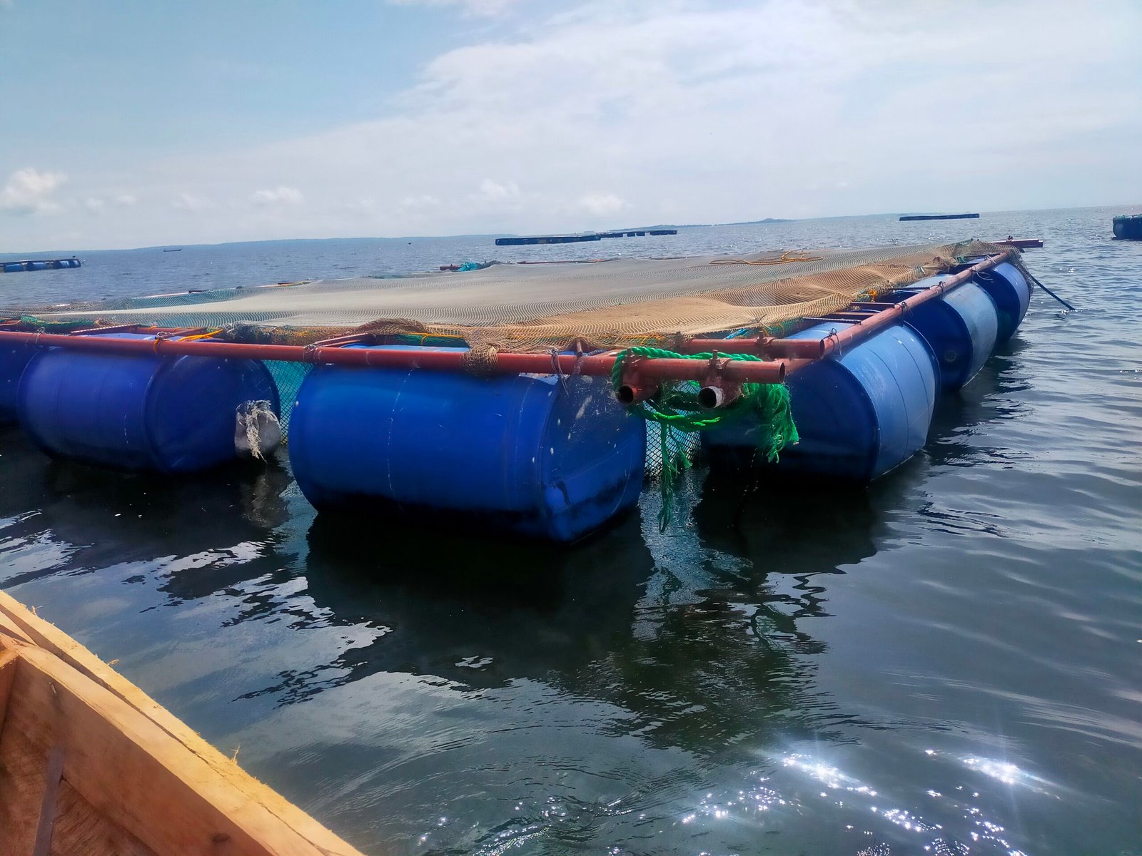 Setting Up Fish Farms and Aquaculture Centres Across East and Central Africa